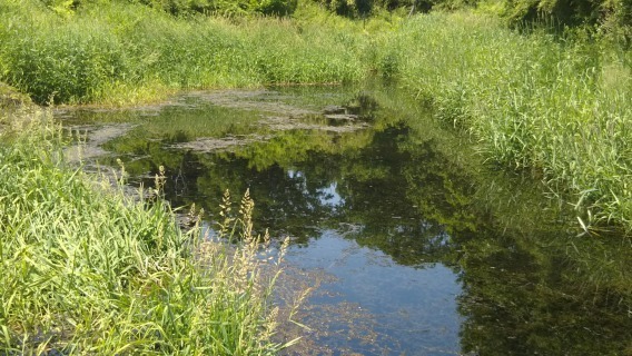 DSC_0076.jpg