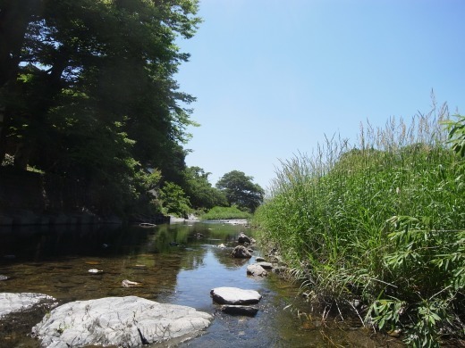 渓流のような川でスモールマウスとオイカワ釣り 釣れない現場から実況中継 等